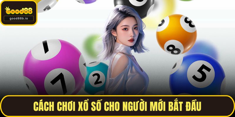 Xổ Số Miền Bắc Hôm Nay – Thông Tin, Dự Đoán Chuẩn Xác Nhất Cách chơi xổ số cho người mới bắt đầu