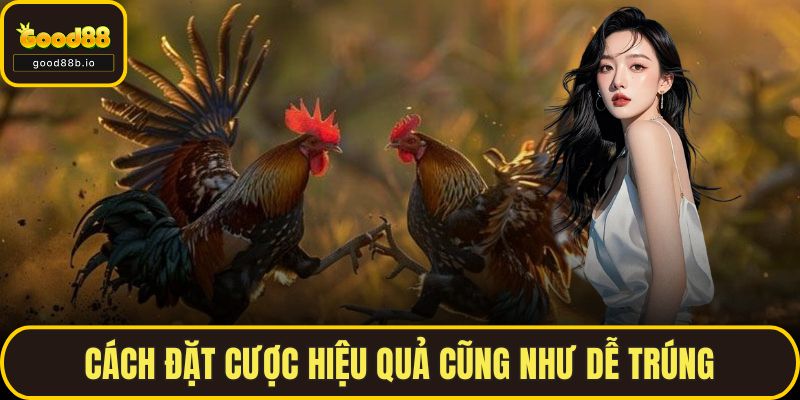 Cách đặt cược hiệu quả cũng như dễ trúng