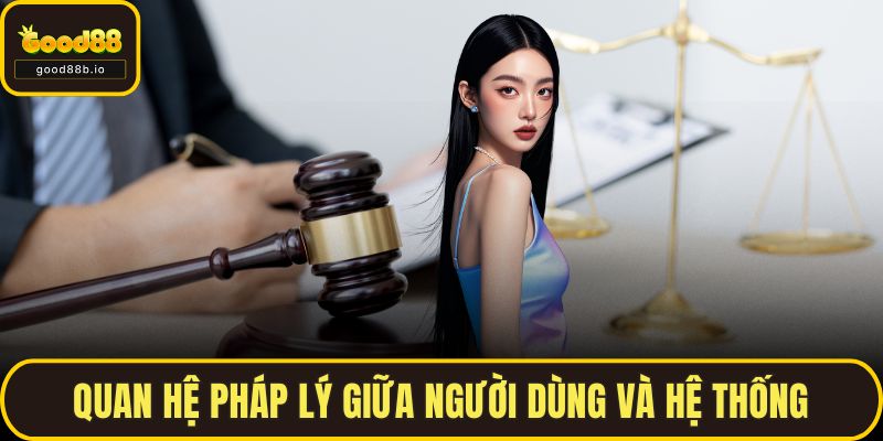 Quan hệ pháp lý giữa người dùng và hệ thống